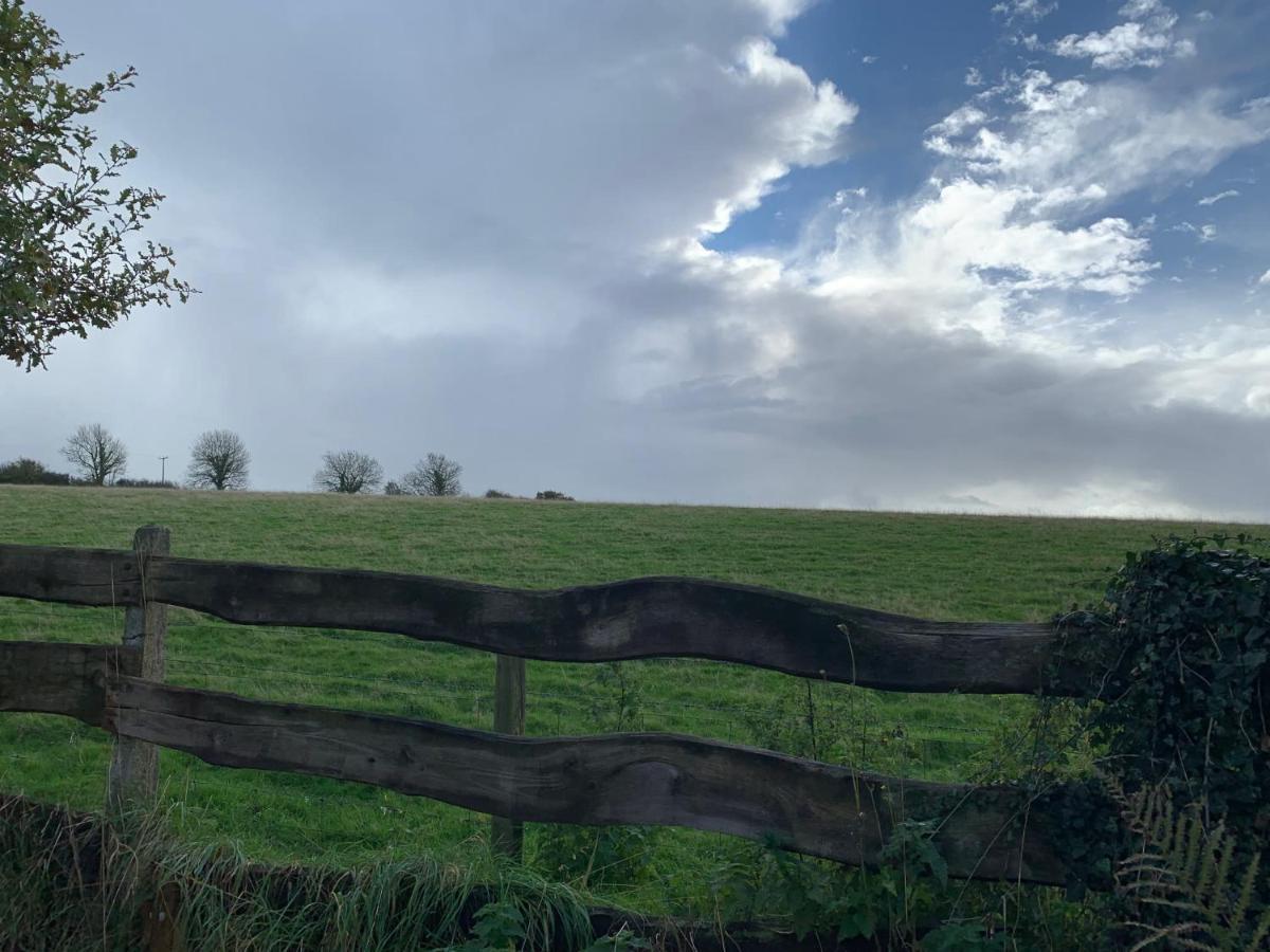 Character Dartmoor Cottage Yelverton Bagian luar foto